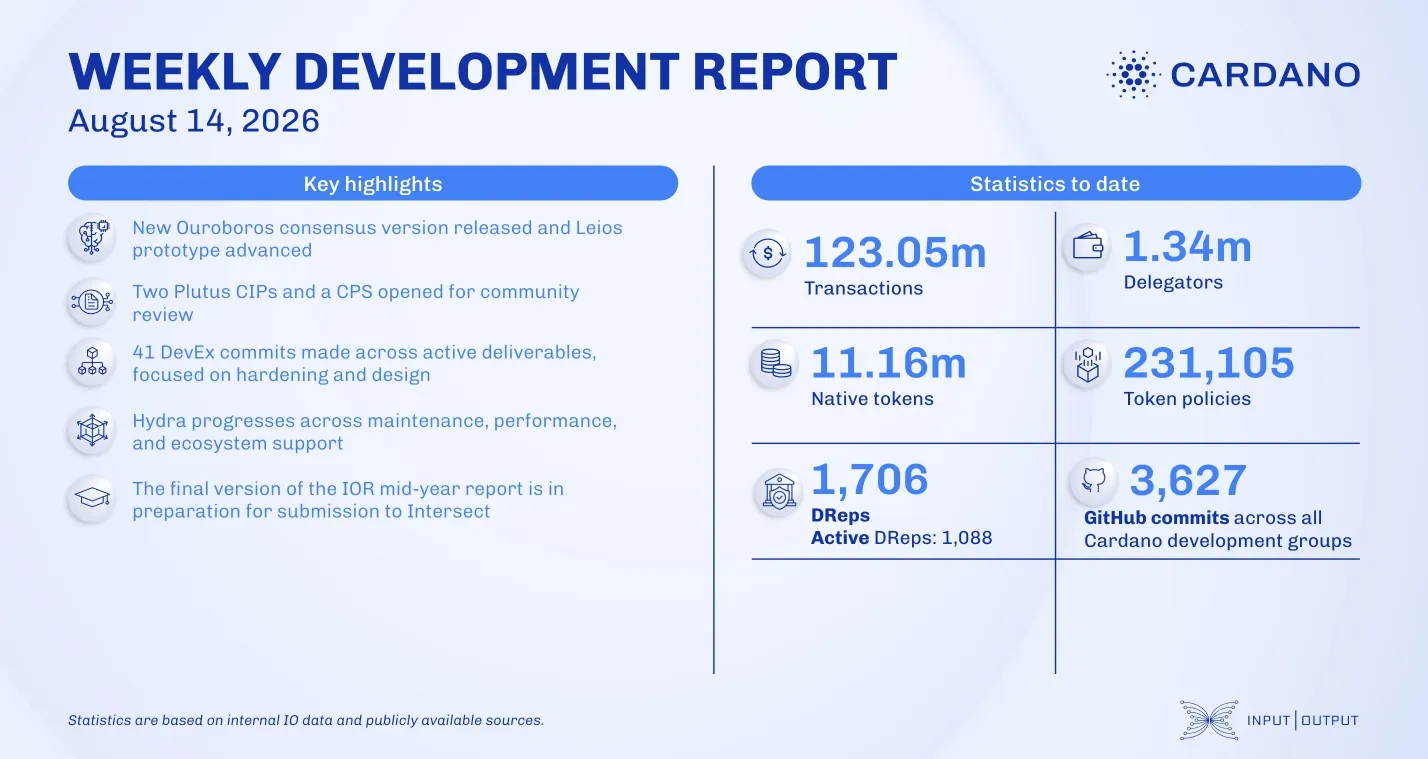 Weekly Development Report