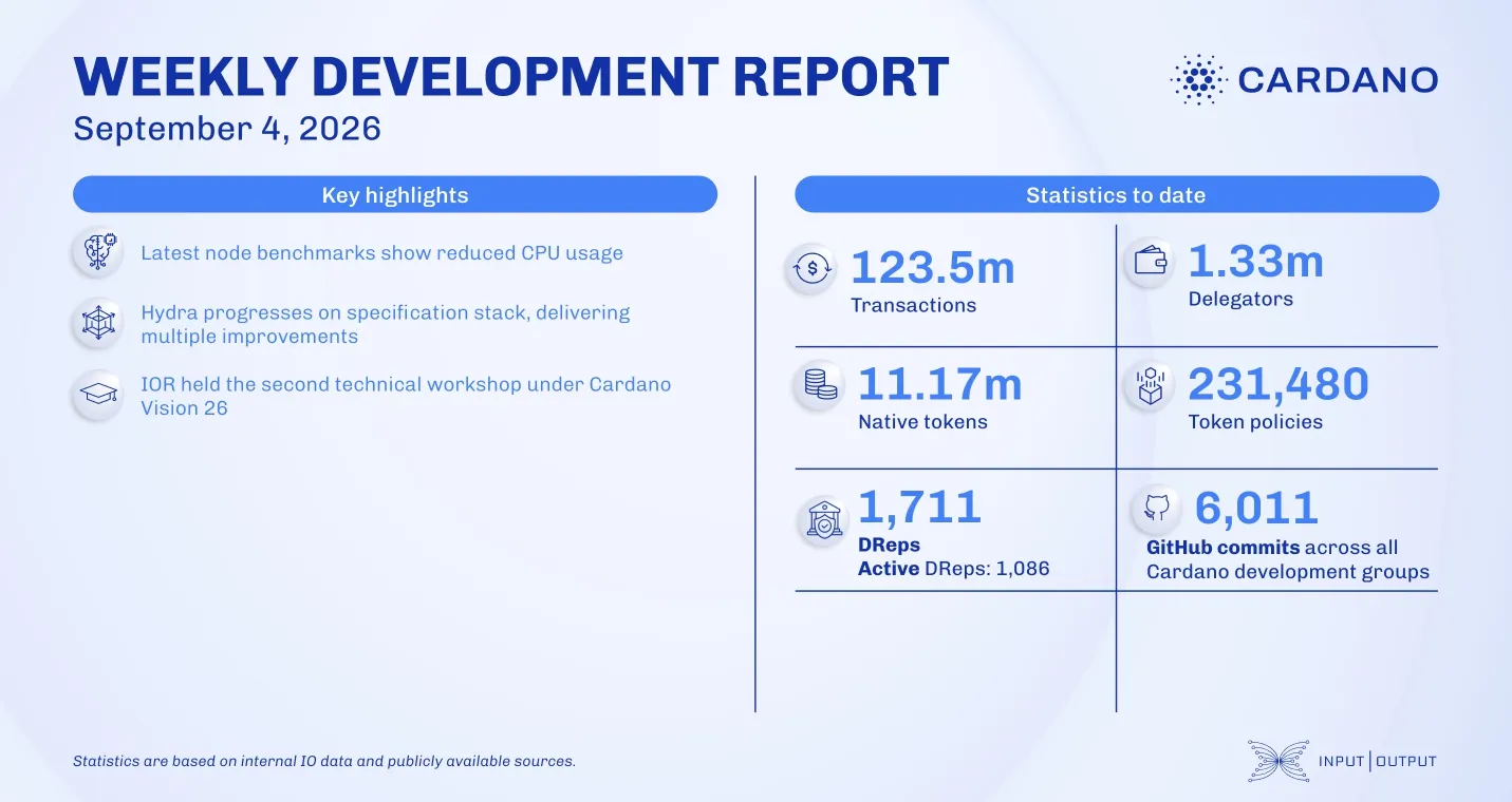 Weekly Development Report