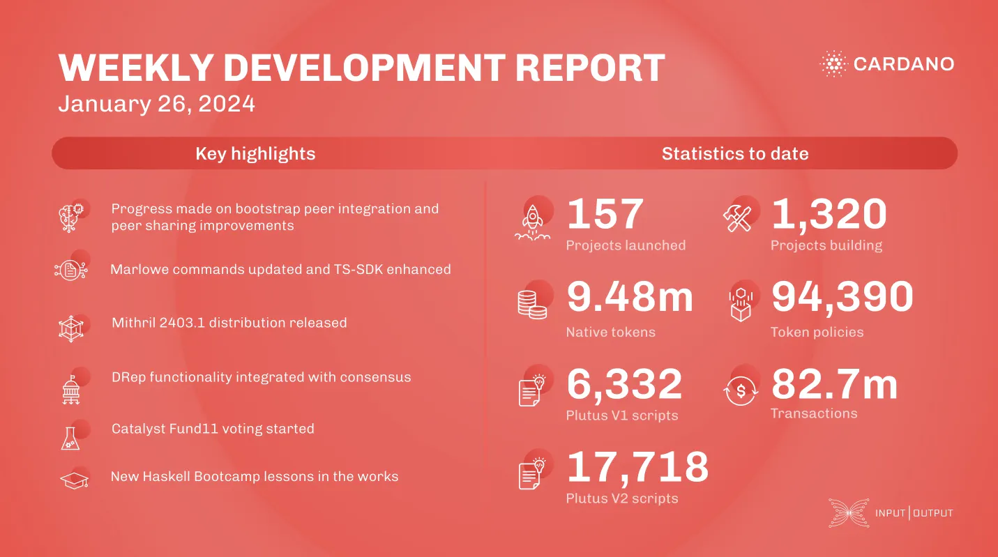 weekly development report