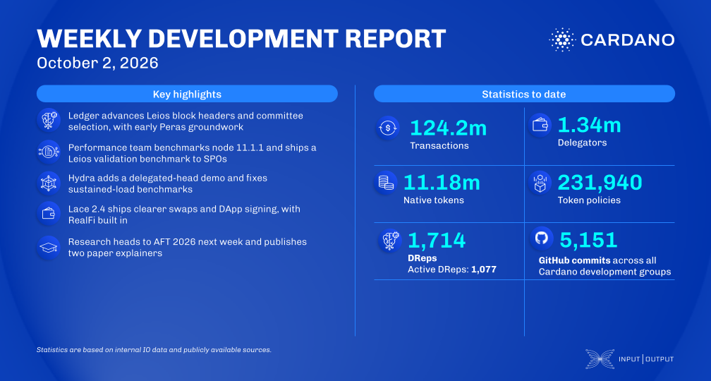 weekly development report banner