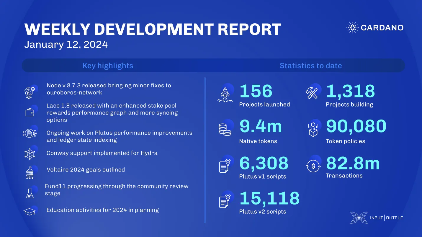 weekly development report