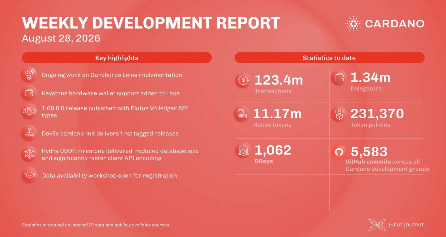Weekly Development Report
