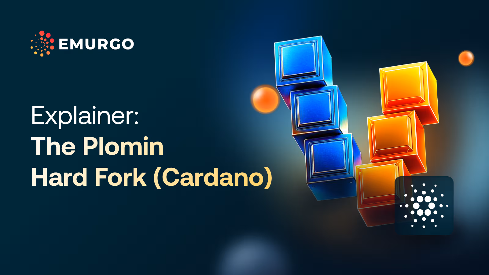 weekly development report