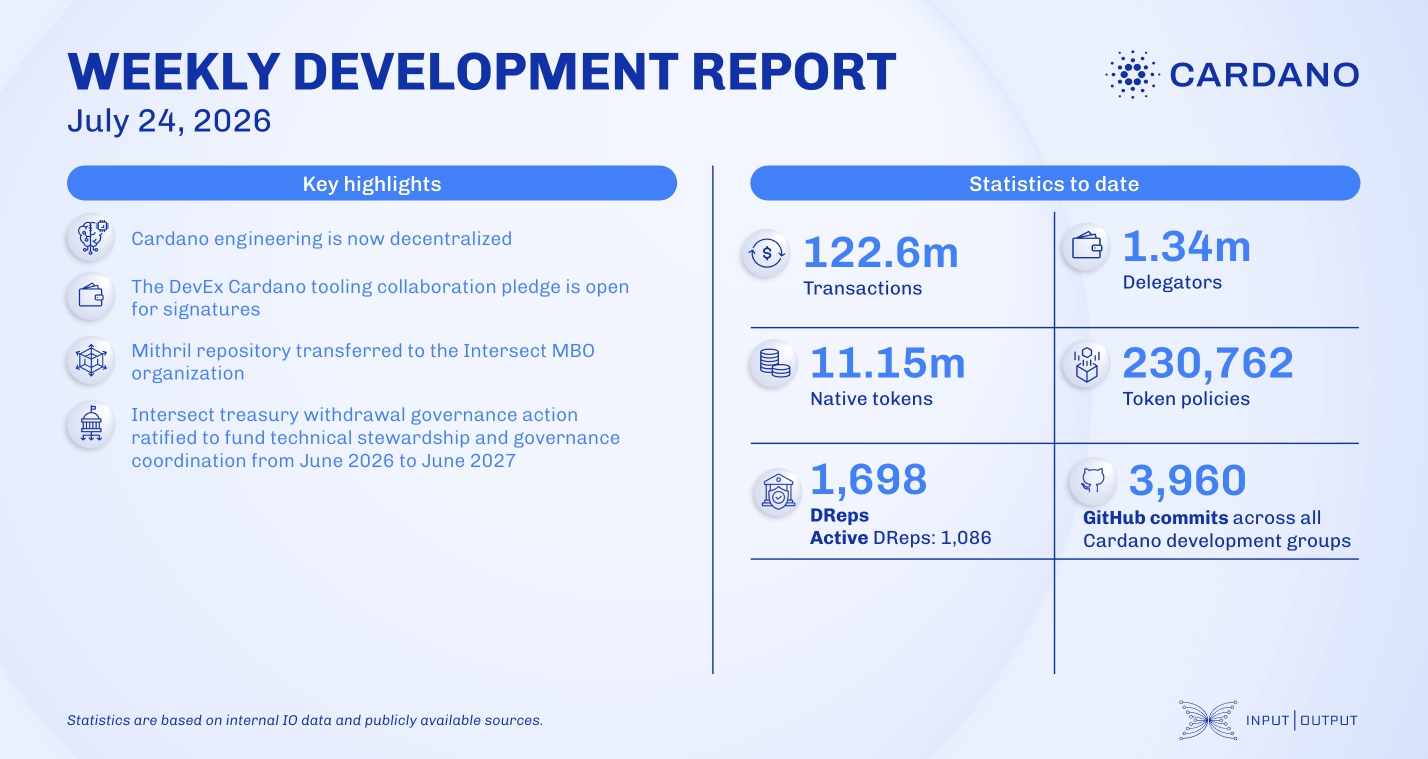 Weekly Development Report