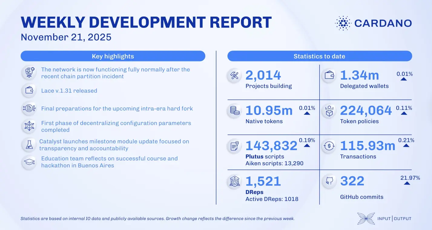 weekly development report