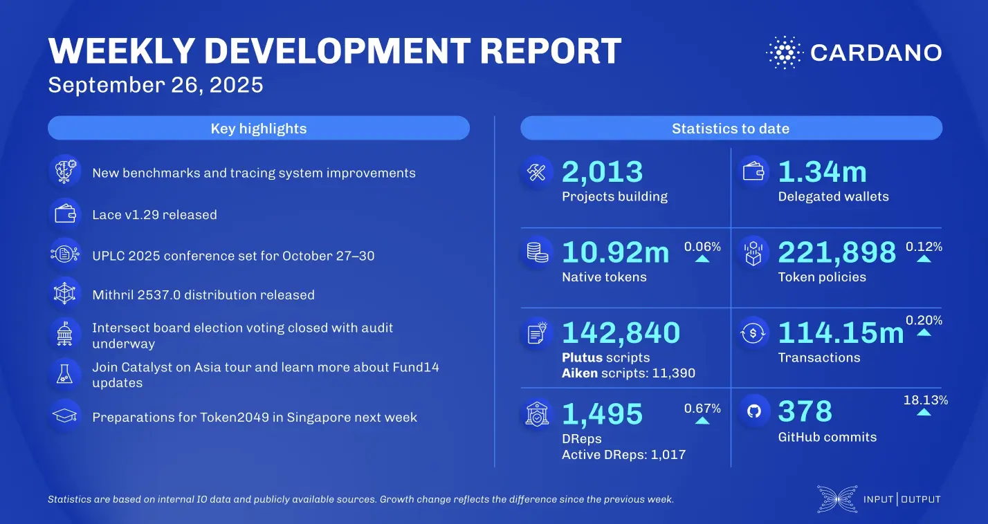 weekly development report