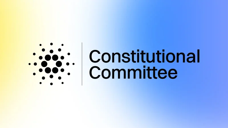 Constitutional Committee elected