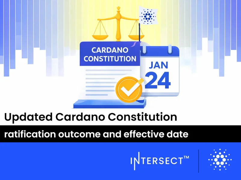 Constitution updated with 79% support