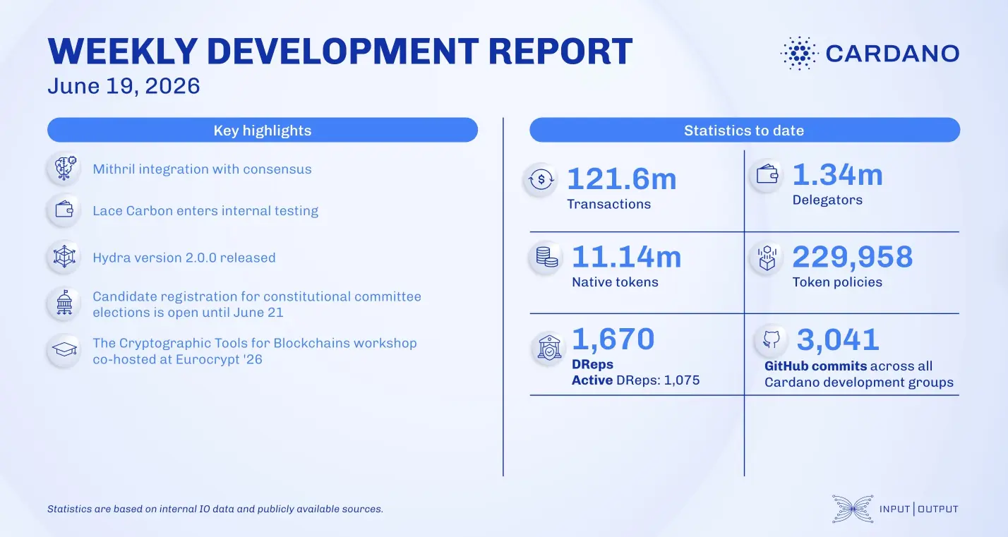 weekly development report