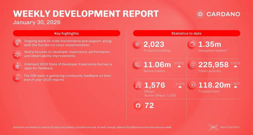 weekly development report