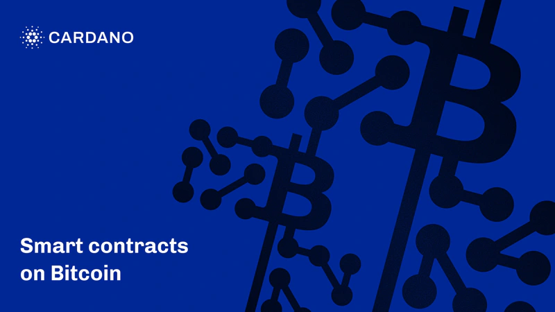 最被低估的福{建}小城，{殺}出了“互聯(lián)網(wǎng)三劍客”